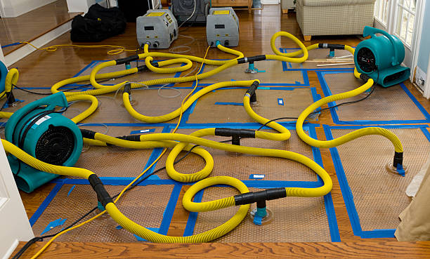 Professional Water Extraction technician working in Fair Haven, MI